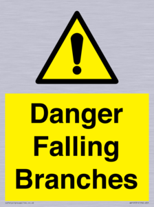 Danger Falling Branches